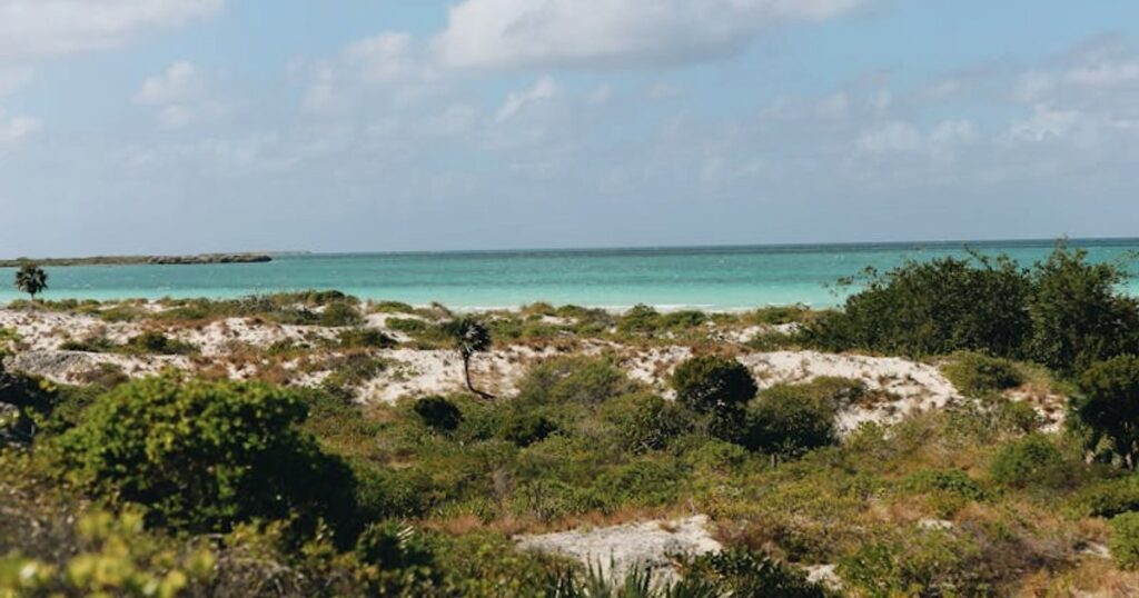 Cuba low cost nel 2025: le spiagge (quasi vuote) dove spendi meno di un weekend in Europa