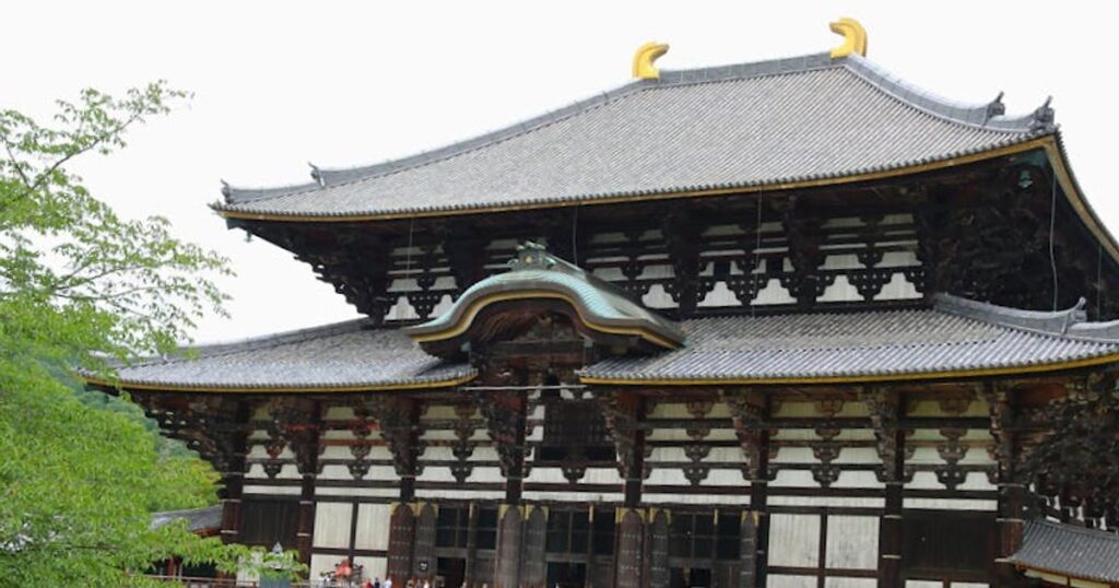 Nara con bambini: guida sincera a cervi, templi e budget da Kyoto o Osaka