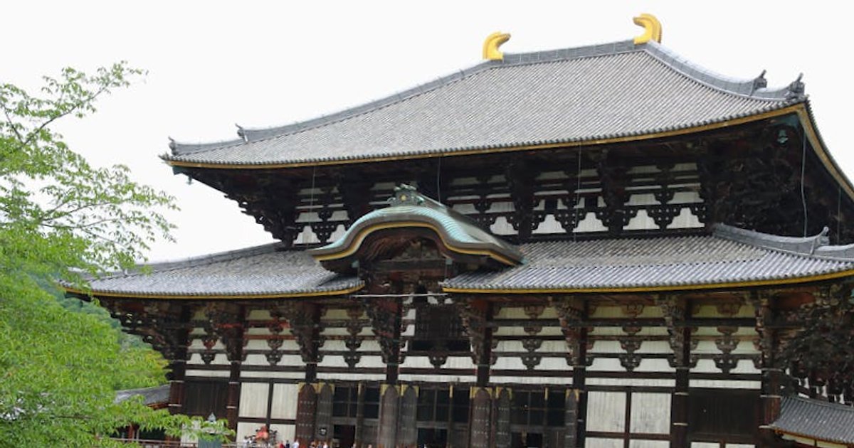 Nara con bambini: guida sincera a cervi, templi e budget da Kyoto o Osaka