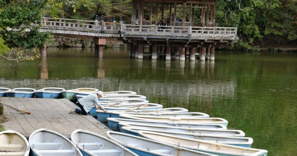 Nara o Kyoto in giornata da Osaka? Il confronto onesto che avrei voluto leggere prima di partire