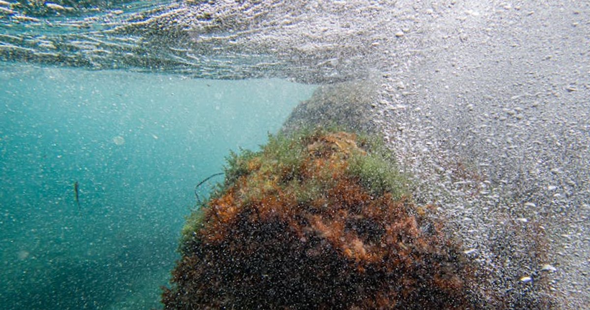 Nord, sud, est o ovest a Maiorca? Il confronto onesto delle coste per lo snorkeling (e per il tuo budget)