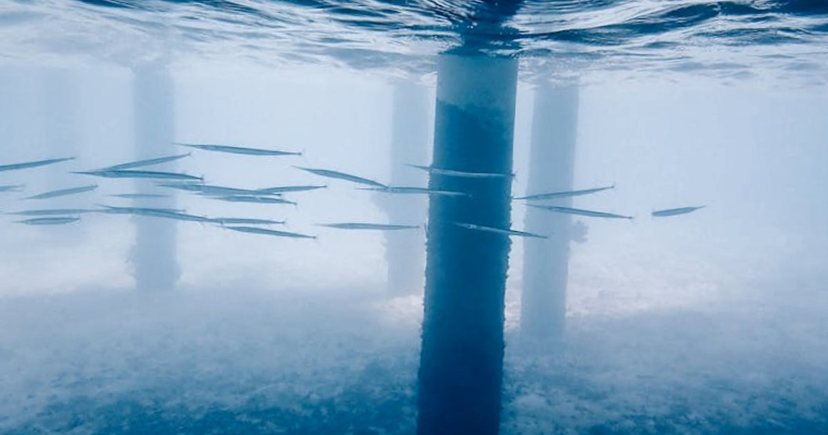 Quando andare a Mallorca per snorkeling: la guida onesta tra mare da sogno e prezzi umani