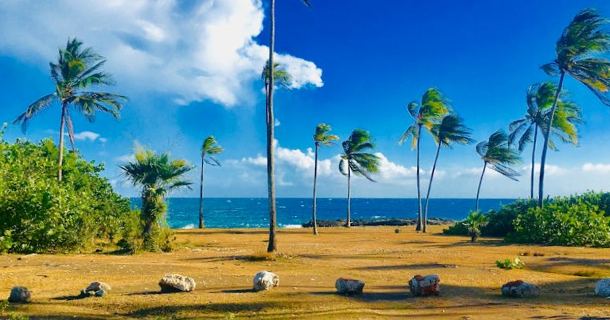 Quando andare al mare a Cuba nel 2025–2026: il vero periodo migliore tra clima, prezzi e sargasso