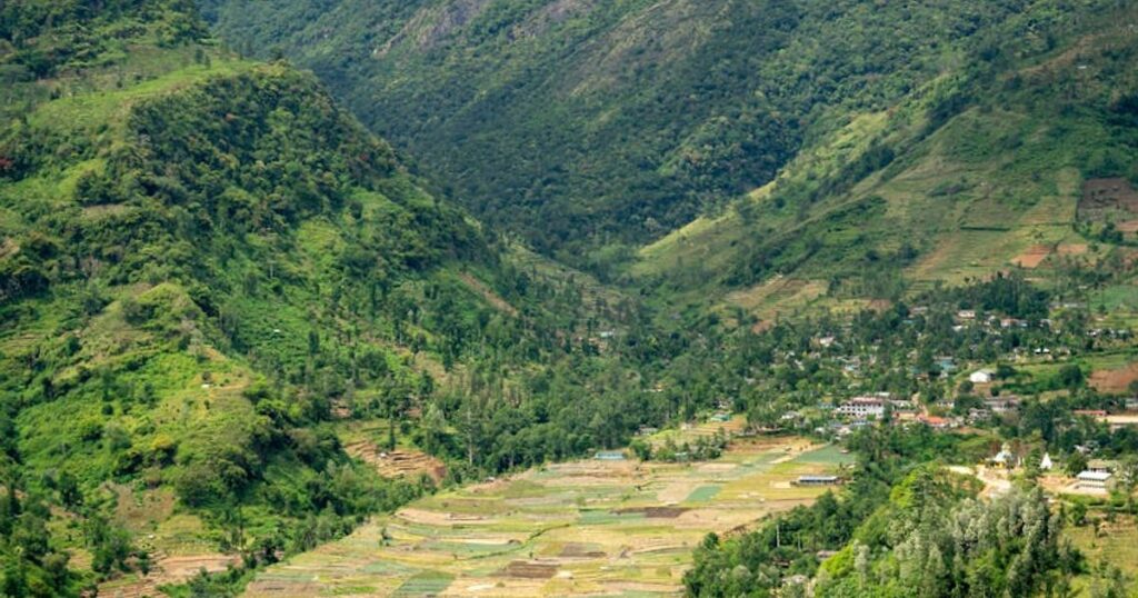 Sri Lanka in 14 giorni tra mare e cultura: itinerario onesto (con costi veri)