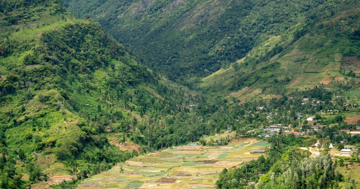 Sri Lanka in 14 giorni tra mare e cultura: itinerario onesto (con costi veri)